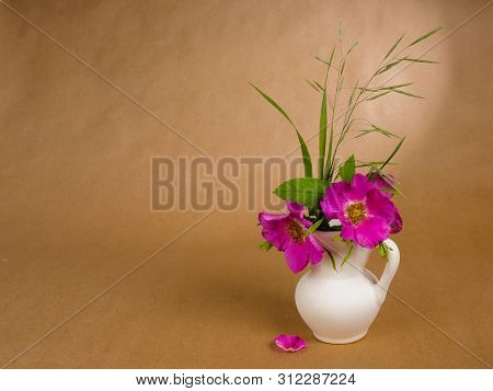 Some Flowers And Leaves Of Dog Rose And Some Meadow Grass In Little White Ceramic Jug And Lone Doge 