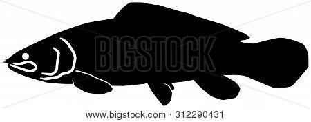Bowfin Black Vector Silhouette Clip Art Image
