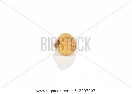 Closeup Of One Whole Hulled Raw Brown Buckwheat Grain Isolated On White Background