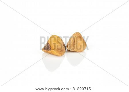 Group Of Two Whole Raw Brown Buckwheat Grain Isolated On White Background