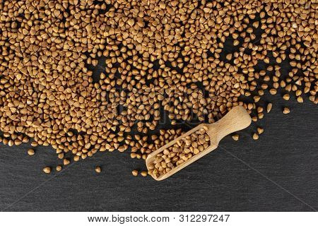 Lot Of Whole Raw Brown Buckwheat Grain Copyspace With Wooden Scoop Flatlay On Grey Stone