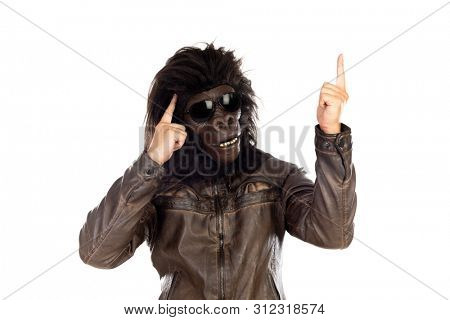Man with gorilla head isolated on a white background