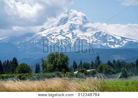View Of Mt Hood Near Hood Rivver Oregon. Agricultural Sprinklers Watering Farmland In The Foreground