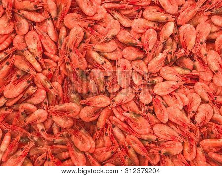 Shrimp Background Of Frozen Shrimp Color Coral Live. Coral Shrimps In The Fish Market.