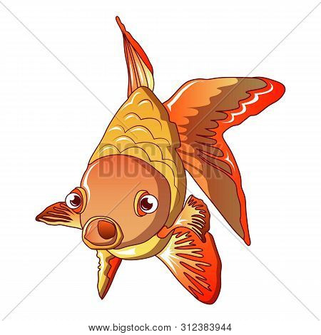 Front Goldfish Icon. Cartoon Of Front Goldfish Icon For Web Design Isolated On White Background