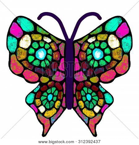 Butterfly. The Multi-colored, Painted Butterfly. Insect Illustration