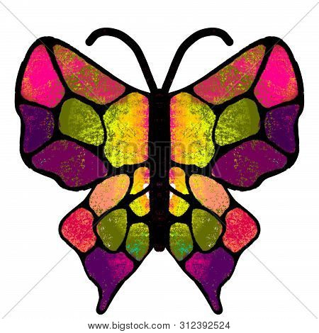 Butterfly. The Multi-colored, Painted Butterfly. Insect Illustration