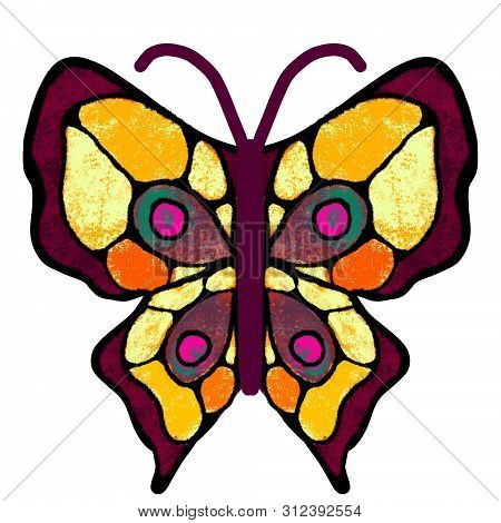 Butterfly. The Multi-colored, Painted Butterfly. Insect Illustration