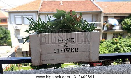 Stylish Home Wooden Flowerplant - Home And Flower