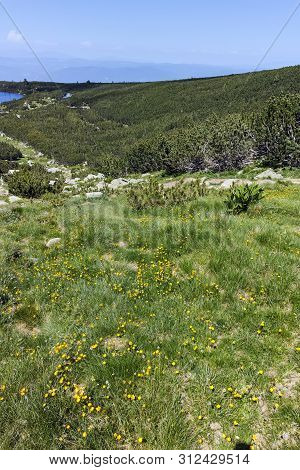 Amazing Summer Panorama Around Bezbog Lake, Pirin Mountain, Bulgaria