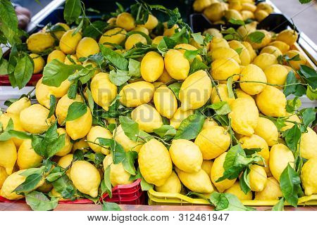 Wicker Basket Full Of Lemons On The Italian Street Od Corniglia