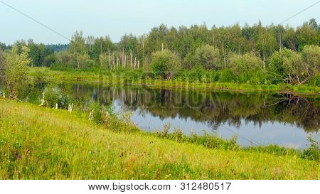 Overgrown With Grass And Remains Of Birches Bera Wild Northern Lake With A Reflection Of The Forest 