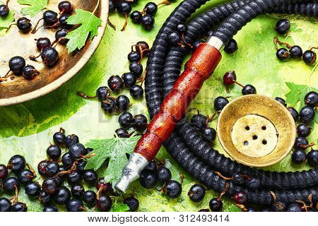 Arabia Shisha With Black Currant