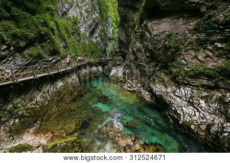 Panoramic View Of Soteska Vintgar The Vintgar Gorge Or Bled Gorge In Slovenia. Famous Canyon With Ri