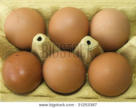 Eier