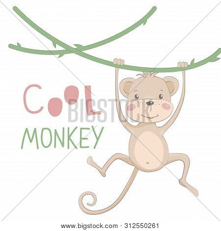 Cute Monkey Drawn Vector Illustration With Lettering Cool Monkey.