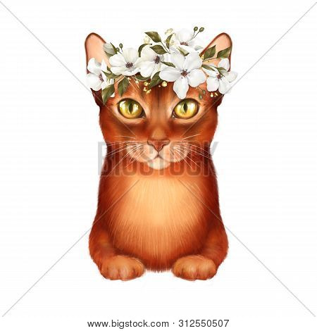 Ginger Cat With White Flowers, Isolated On White. Cute Anomal Illustration