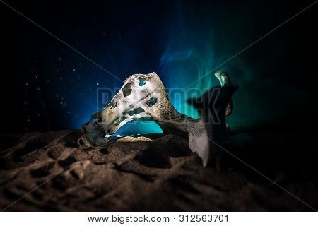 Animal Bone In Dark Halloween Night With Fog And Light On Background / Selective Focus And Space For