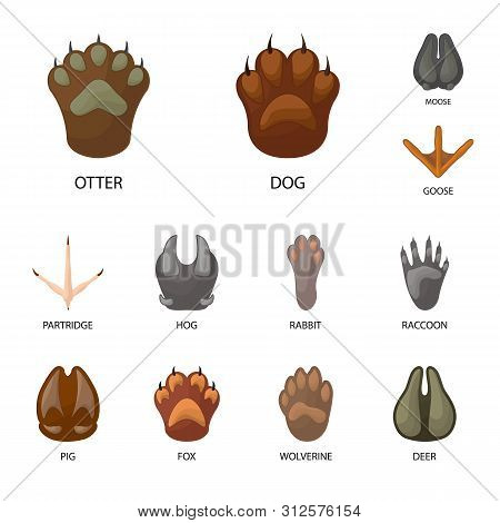 Vector Illustration Of Animal And Print Sign. Collection Of Animal And Footprint Stock Symbol For We