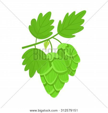 Vector Design Of Hop And Flower Symbol. Set Of Hop And Bud Stock Symbol For Web.