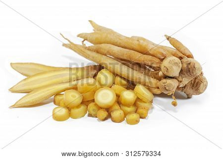 Fresh Fingerroot Isolated Cut Out On White Background