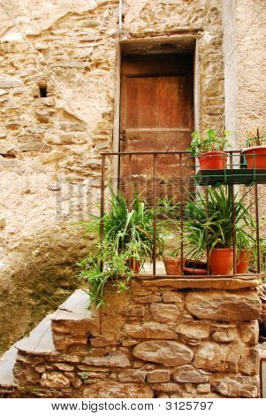 Porte d'entrée avec les plantes en Pots
