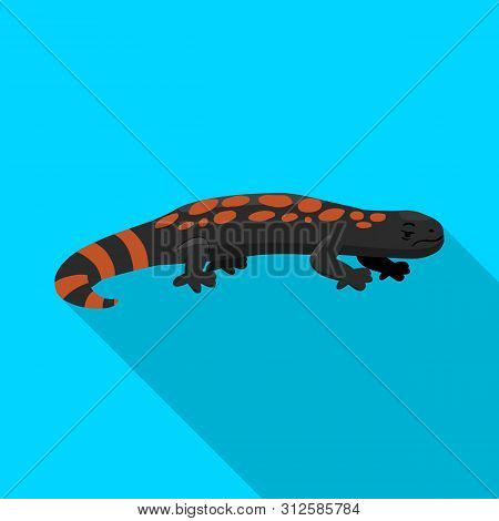 Vector Design Of Lizard And Gila Logo. Collection Of Lizard And Colored Stock Symbol For Web.