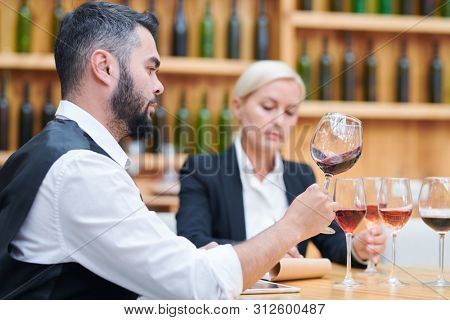 Contemporary cavist checking quality and characteristics of new sorts of wine