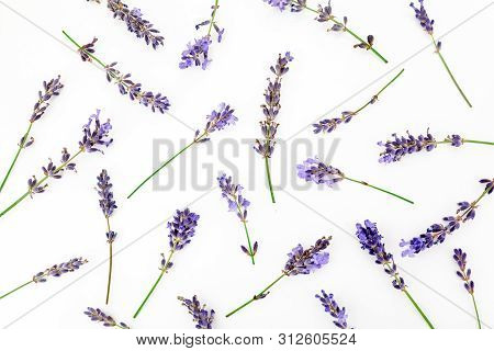 Lavender Flowers Isolated On White Background, Top View. Trendy Flay Lay Composition