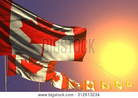 Nice Memorial Day Flag 3d Illustration
 - Many Canada Flags Placed Diagonal On Sunset With Place For