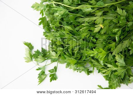 Fresh raw green parsley. Farm seasonal spanish verdure, fruits and vegetables. Potherb. Green meat