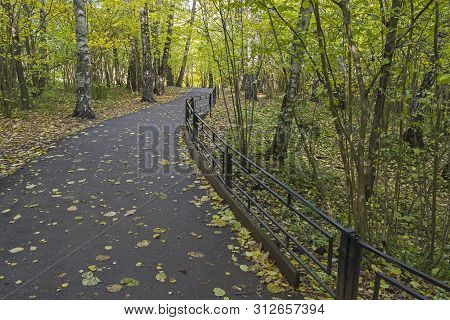 Footpath In The Landscape Reserve Teply Stan, Moscow. October.