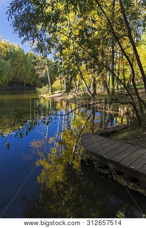 Trees With Bright Yellow Autumn Reflected In The Water Surface Of The Pond. Landscape Reserve Teply 