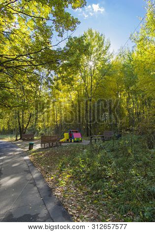 Playground In The Forest Park