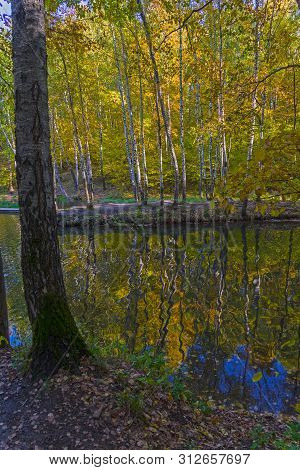 Reflection Of Coastal Trees In The Water Surface. Pond In The Landscape Reserve Teply Stan, Moscow, 