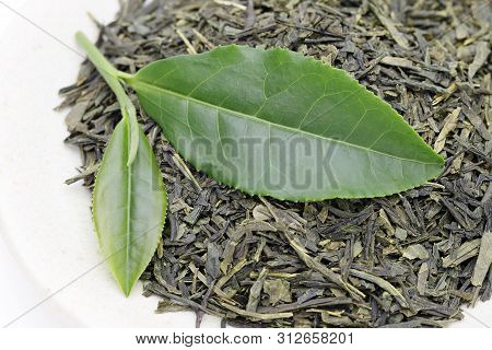 Green Tea Leaves With Dried Tea Leaves On White Background