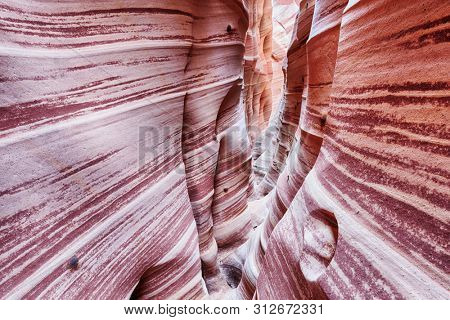 Zebra Canyon is a vivid striped and very narrow gorge. The awsome zig-zag shapes were created by water. Grand Staircase-Escalante National Monument, Utah. USA