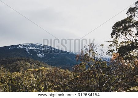 Australian Countryside Landscape In Winter