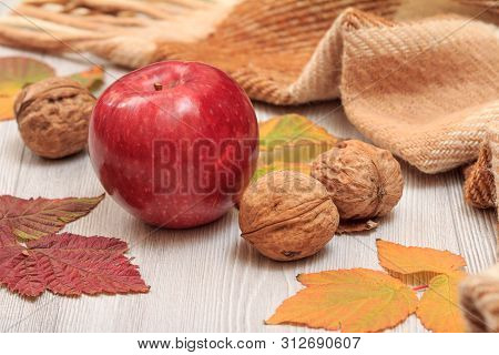 Apple, Walnuts, Checkered Plaid And Dry Leaves On Wooden Boards. Still Llife In Autumn Theme.