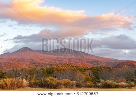 Autumn Foliage Scenery In Kayano-kogen Plateau, Aomori, Japan. Hakkoda Mountains On Background Bathe