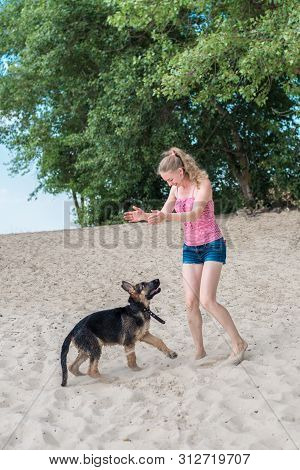 Happy German Shepherd Puppy And Beautiful Blonde Girl Have Fun Running On The Beach And Playing On T