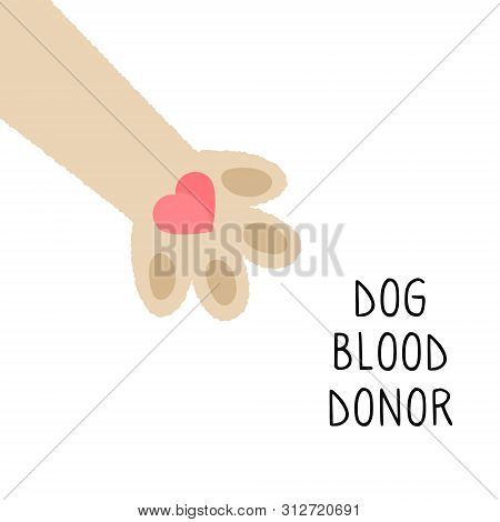 Dog Donor Concept. Blood Donation. Vector Illustration