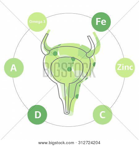 Vitamins And Minerals For Healthy Bladder. Micro And Macro Elements And Vitamins: C, Fe, A, D, Zinc 