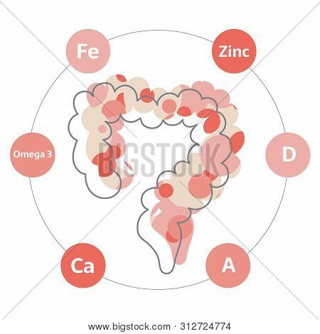 Vitamins And Minerals For Healthy Intestines. Micro And Macro Elements And Vitamins: A, D, Fe, Ca, Z