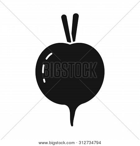Isolated Object Of Beet And Beetroot Logo. Set Of Beet And Diet Vector Icon For Stock.