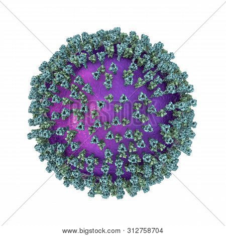 Measles Virus. 3d Illustration Showing Structure Of Measles Virus With Surface Glycoprotein Spikes H