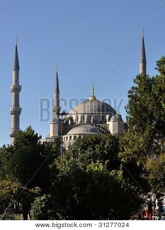 La Moschea Blu