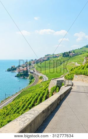 Vertical Picture Of Beautiful Terraced Vineyards In Lavaux Wine Region, Switzerland. Green Vineyard 
