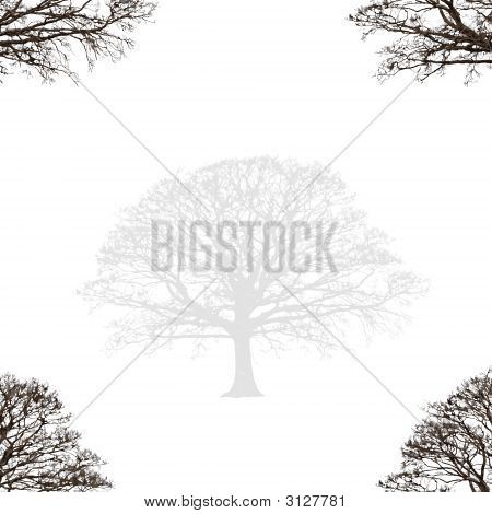Abstracte eiken Design