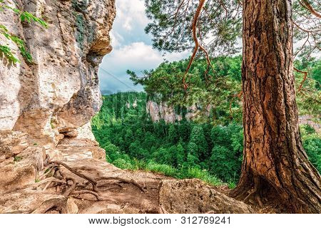 Beautiful Scenic Summer Landscape View From The Rock In Kurdzhips Gorge By Mezmai With Pine Tree On 